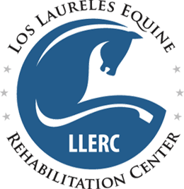 7-LLERC-logo
